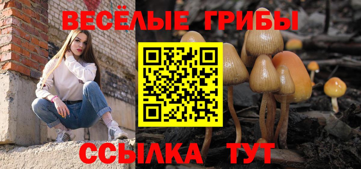 Ульяновск  Псилоцибиновые грибы мицелий  Вход с VPN  Галлюциногенные грибы мицелий 