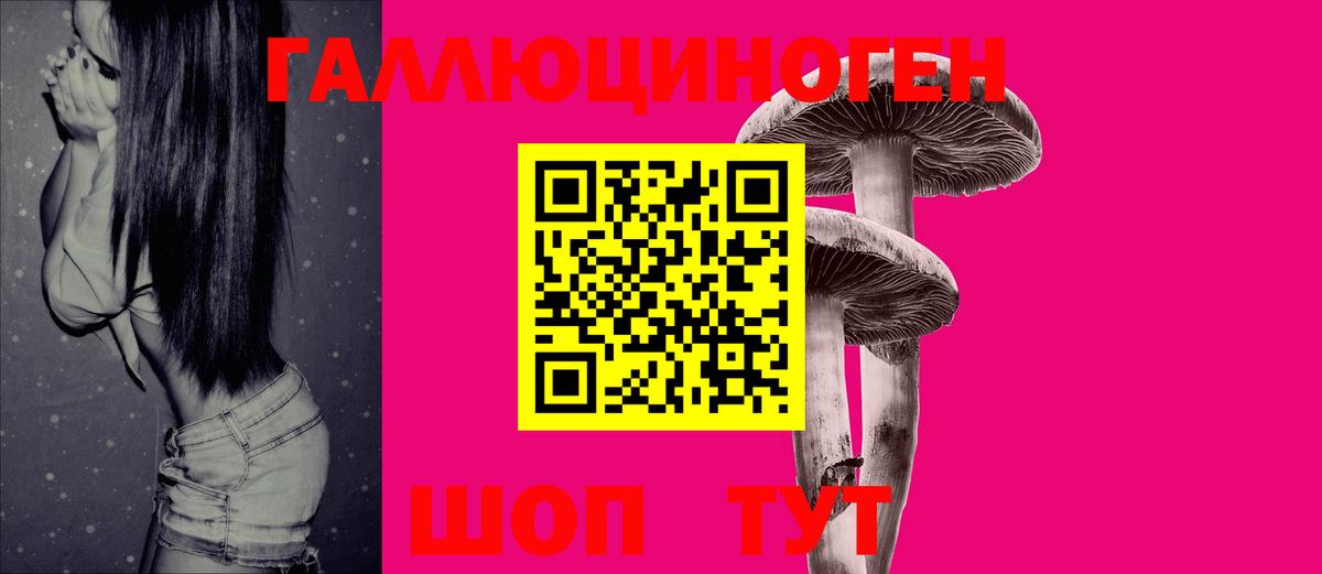 Галлюциногенные грибы Psilocybe Ульяновск